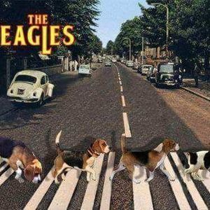 Meet your Posher, Tanya